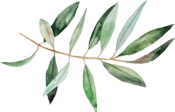 decoration